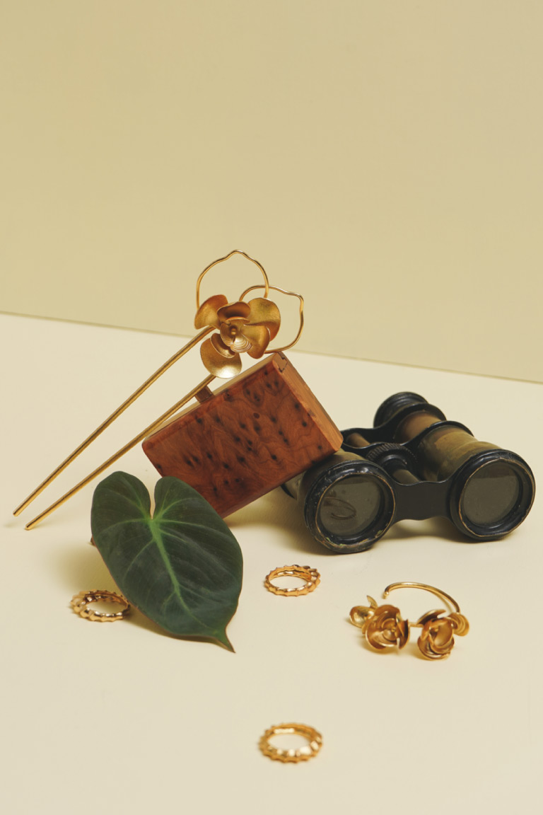 Vattea Caravana Americana